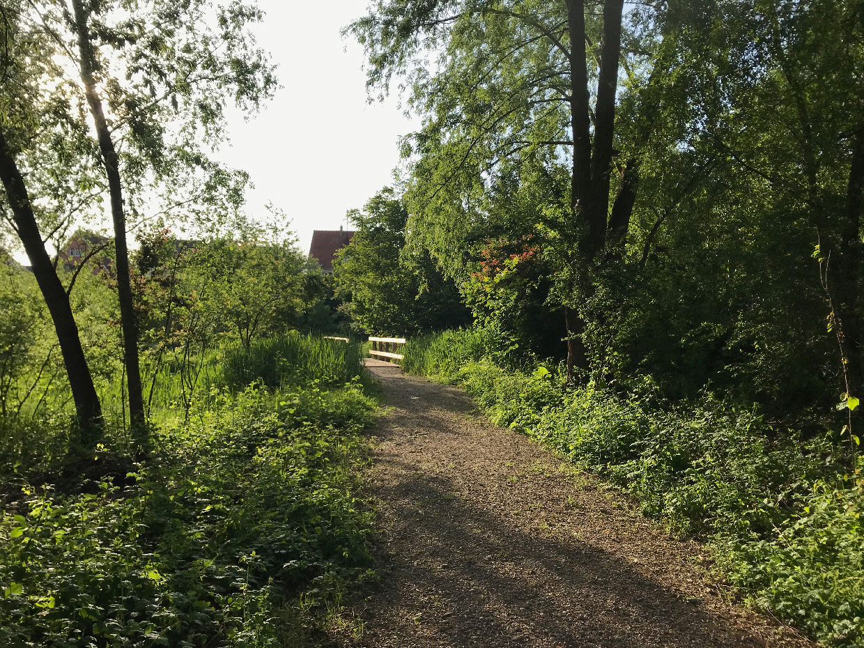 Sous les saules gris et près de roseaux