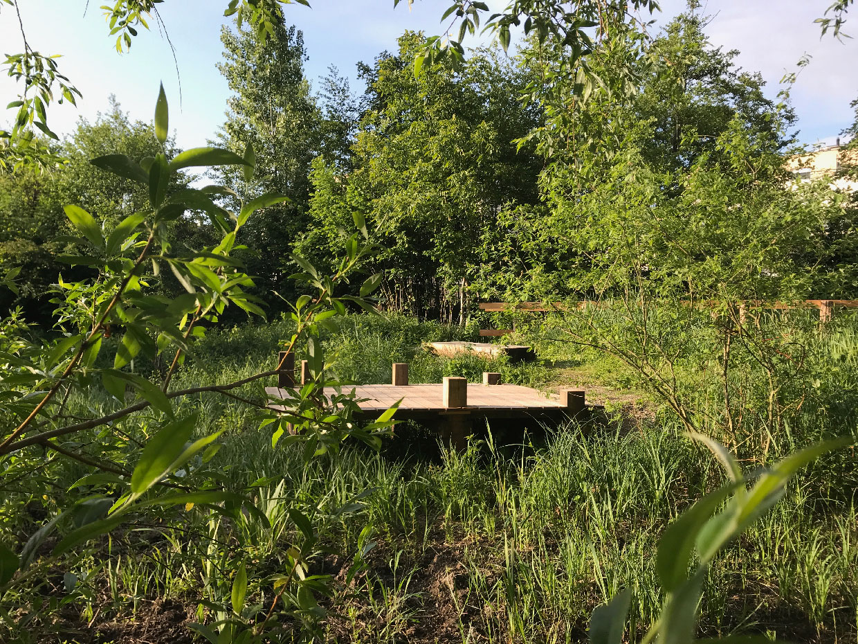 Sous les saules gris et près des roseaux 