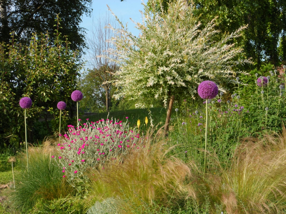 Les champs irisés