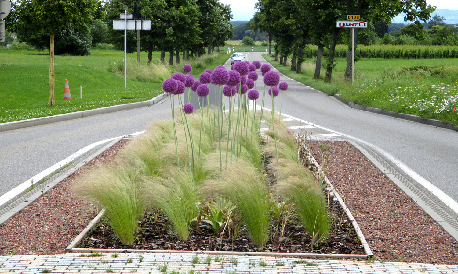 Bienvenue à Ribeauvillé