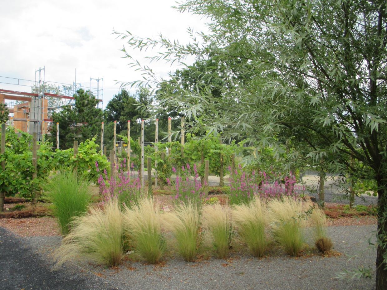 Pfiffergarten